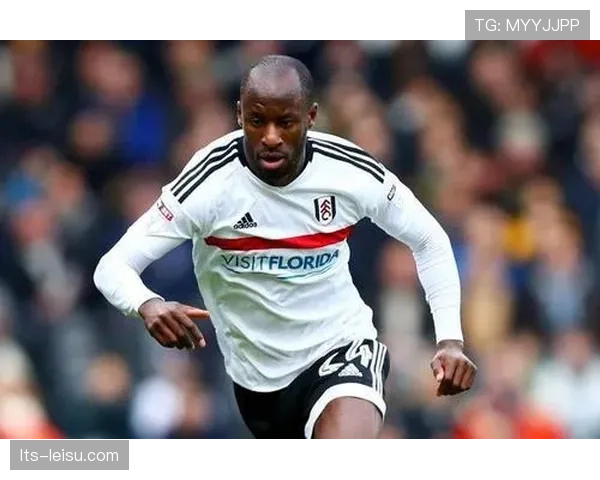 深度报道:数据分析在德甲中下游球队引援中的作用日益凸显 深度报道:数据分析在德甲中下游球队引援中的作用日益凸显